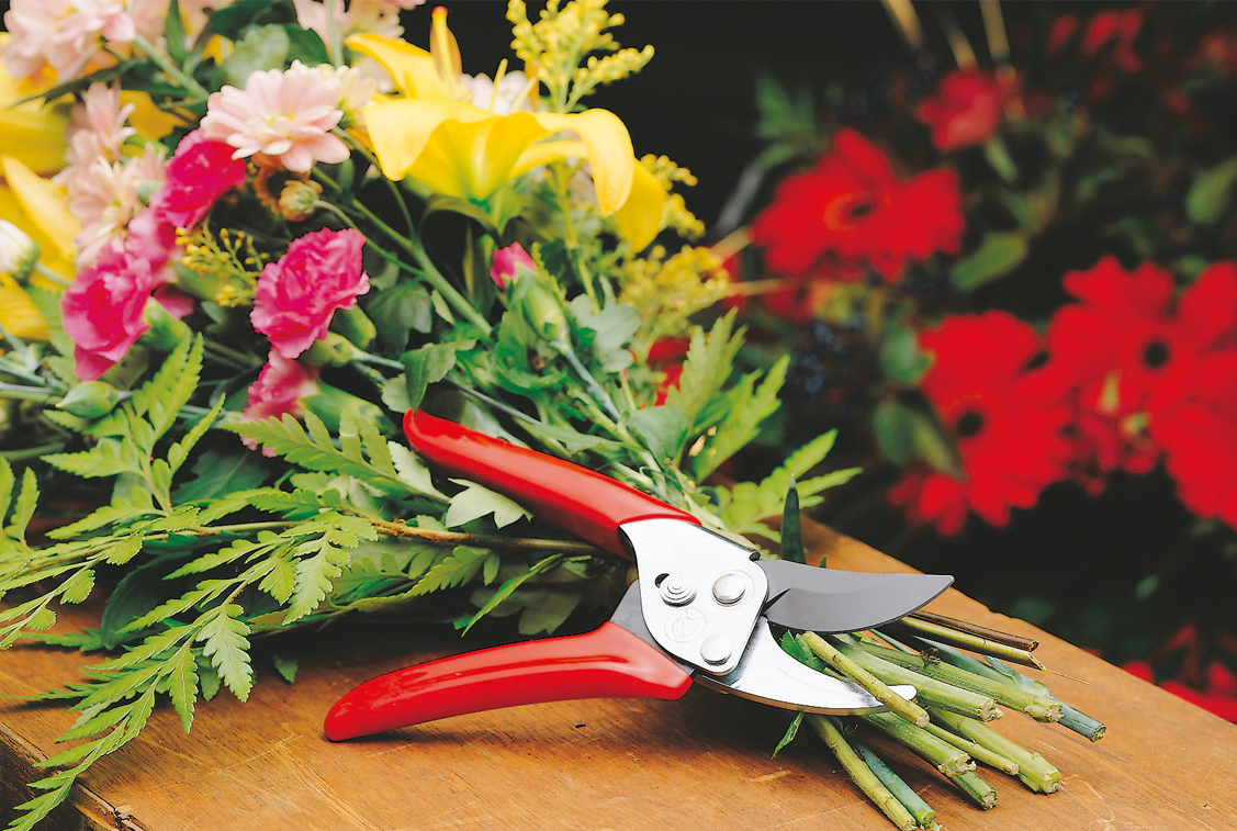 Secateurs