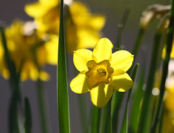 April