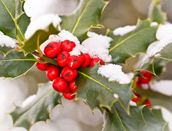 December