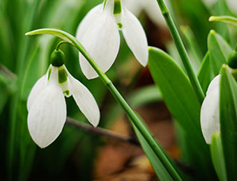 February