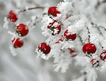 January
