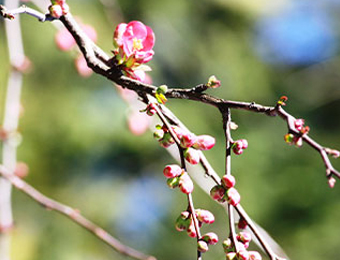 March