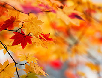 November