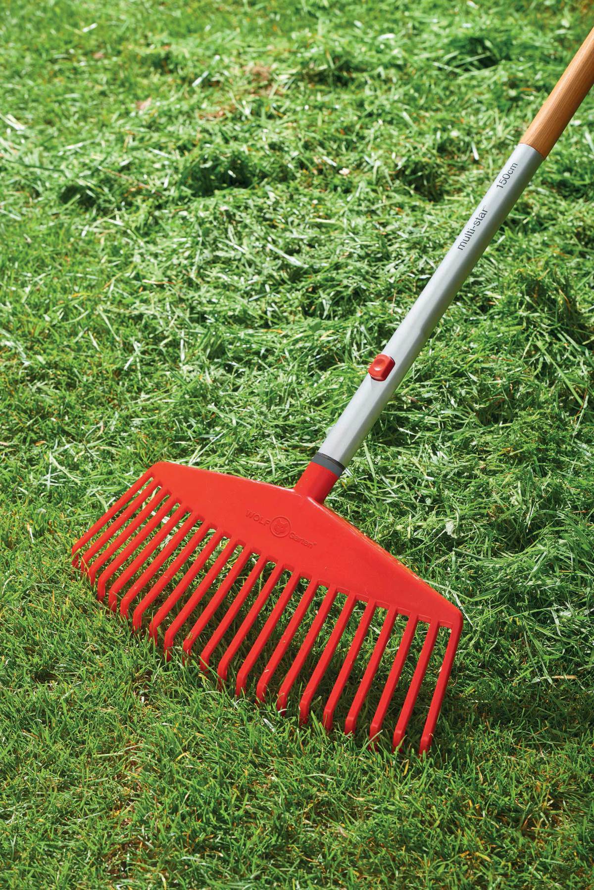 Rake.jpg