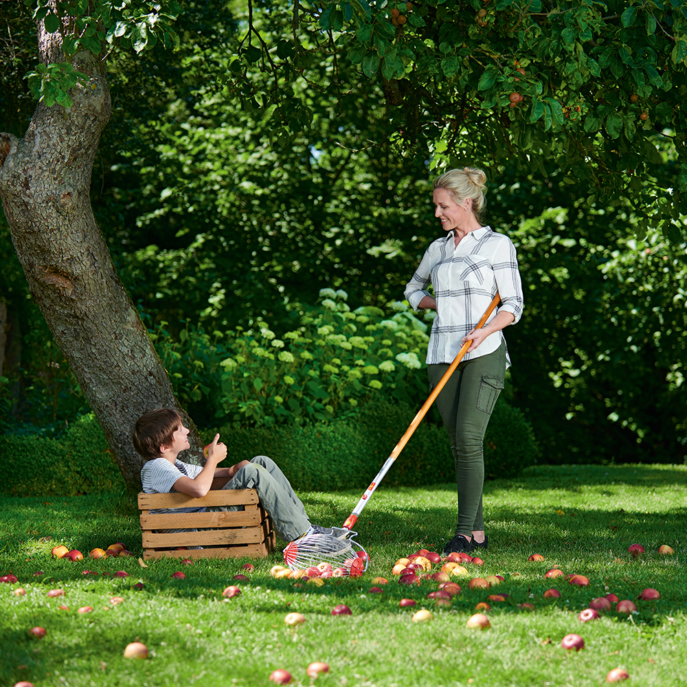 fruit_collector_lady_rolling.jpg
